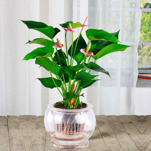 1_210623233009_1.jpg 1_210623233009_1.jpg